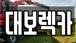 대보렉카