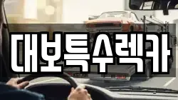 대보특수렉카