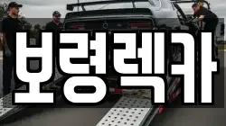 보령렉카