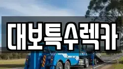 충청남도 보령시 오천면 렉카, 특수렉카, 차량탁송, 견인운송