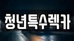 충청남도 보령시 죽정동 렉카, 특수렉카, 차량탁송, 견인운송