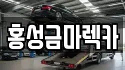 홍성금마렉카