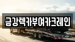 금강렉카부여카크레인