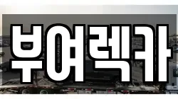 부여렉카