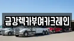 금강렉카부여카크레인