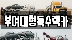 충청남도 부여군 장암면 렉카, 특수렉카, 차량탁송, 견인운송