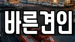 바른견인
