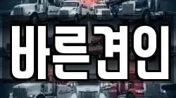 바른견인