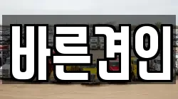 바른견인