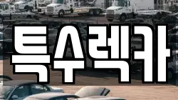 특수렉카