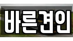바른견인