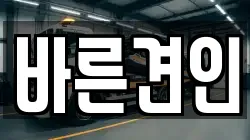 바른견인