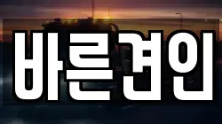 바른견인