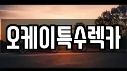 오케이특수렉카