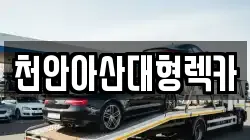 천안아산대형렉카