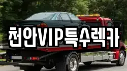 천안VIP특수렉카