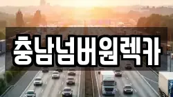 충청남도 아산시 장존동 렉카, 특수렉카, 차량탁송, 견인운송