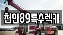 천안89특수렉카