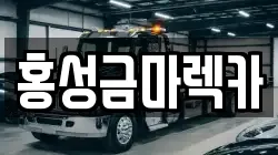 홍성금마렉카