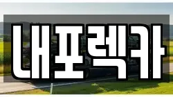 내포렉카