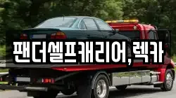 팬더셀프캐리어,렉카