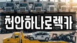 천안하나로렉카