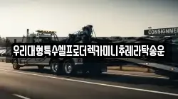 우리대형특수셀프로더렉카미니추레라탁송운