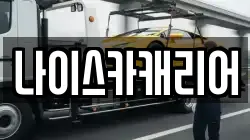 나이스카캐리어