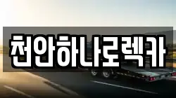 천안하나로렉카