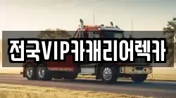 전국VIP카캐리어렉카