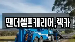 팬더셀프캐리어,렉카