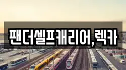 팬더셀프캐리어,렉카