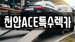 천안ACE특수렉카