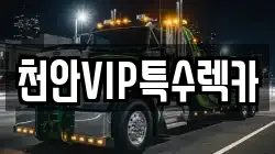 충청남도 천안시 서북구 백석동 렉카, 특수렉카, 차량탁송, 견인운송