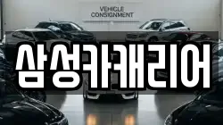 삼성카캐리어