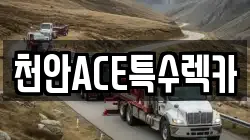천안ACE특수렉카