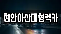 천안아산대형렉카
