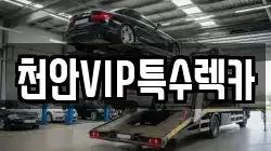 천안VIP특수렉카