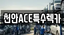 천안ACE특수렉카