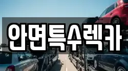 안면특수렉카