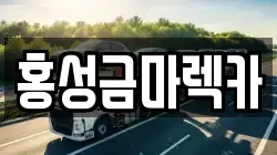 홍성금마렉카