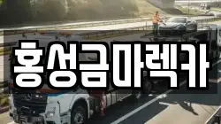 홍성금마렉카