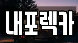 내포렉카