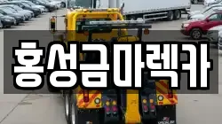 홍성금마렉카