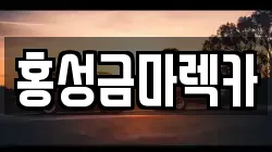 홍성금마렉카