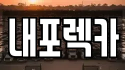 내포렉카