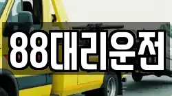 88대리운전