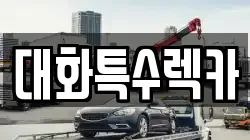 대화특수렉카
