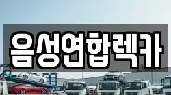 음성연합렉카