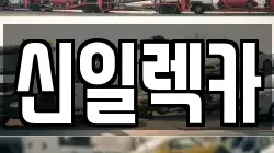 신일렉카